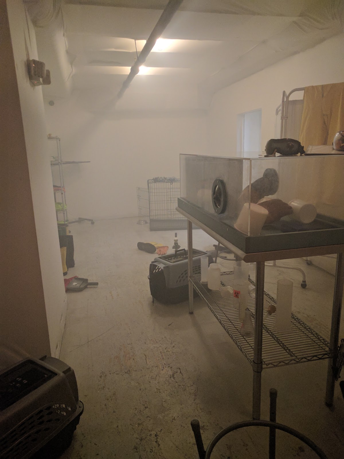 Magical Birthdays At Paniq Escape Room Chicago